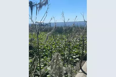 6373 Jack Wright Island Road, Saint Augustine, FL 32092 - Photo 3