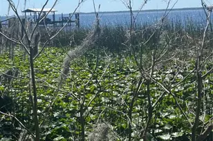 6373 Jack Wright Island Rd, Saint Augustine, FL 32092 - Photo 3