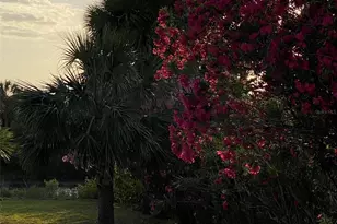 3162 N Ocean Shore Blvd, Flagler Beach, FL 32136 - Photo 49