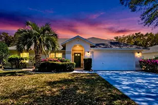 3 Saw Mill Ct, Palm Coast, FL 32164 - Photo 1