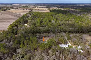 5055 Flagler Estates Blvd, Hastings, FL 32145 - Photo 73