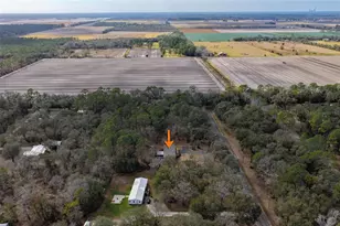 5055 Flagler Estates Blvd, Hastings, FL 32145 - Photo 75