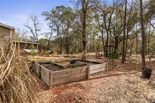 5055 Flagler Estates Blvd, Hastings, FL 32145 - Photo 59