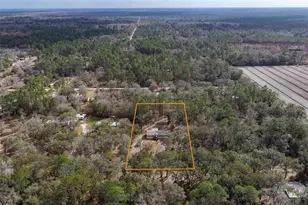 5055 Flagler Estates Blvd, Hastings, FL 32145 - Photo 69