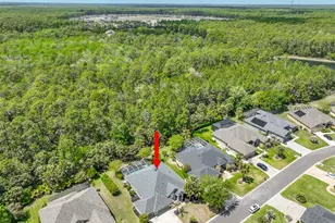 1029 Stone Lake Dr, Ormond Beach, FL 32174 - Photo 53