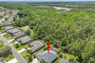 1029 Stone Lake Dr, Ormond Beach, FL 32174 - Photo 55