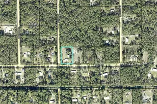 4442 Clove Ave, Bunnell, FL 32110 - Photo 27