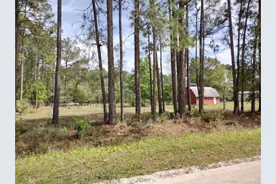 4442 Clove Avenue, Bunnell, FL 32110 - Photo 19