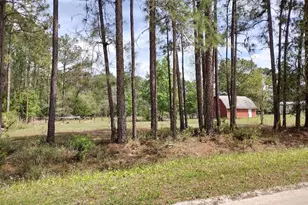 4442 Clove Ave, Bunnell, FL 32110 - Photo 19