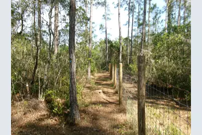 10220 Crotty Avenue, Hastings, FL 32145 - Photo 5