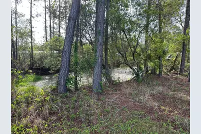 1583 Beech Boulevard, Bunnell, FL 32110 - Photo 5