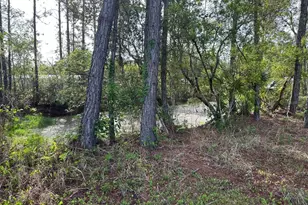 1583 Beech Blvd, Bunnell, FL 32110 - Photo 5