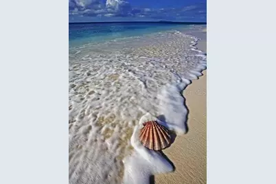 2727 N Atlantic Avenue #3170, Daytona Beach, FL 32118 - Photo 41