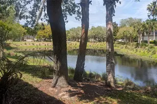 19 River Landing Dr, Palm Coast, FL 32137 - Photo 29