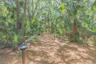 1200 Canopy Walk Ln, Palm Coast, FL 32137 - Photo 35