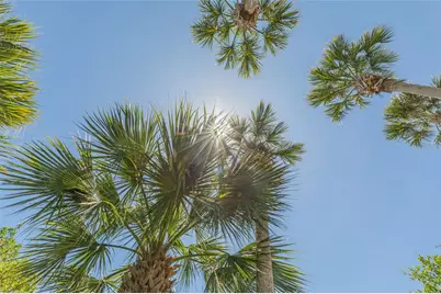 1200 Canopy Walk Lane #1233, Palm Coast, FL 32137 - Photo 43
