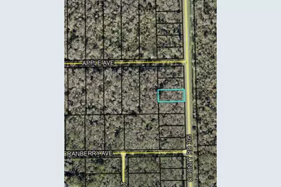 2166 Cr-305, Bunnell, FL 32110 - Photo 3