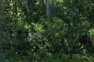 2166 Cr-305, Bunnell, FL 32110 - Photo 1