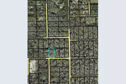 4062 Walnut Avenue, Bunnell, FL 32110 - Photo 3