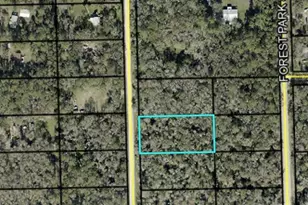 1795 Sherwood St, Bunnell, FL 32110 - Photo 1