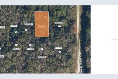 127 Jay Avenue, Georgetown, FL 32139 - Photo 1
