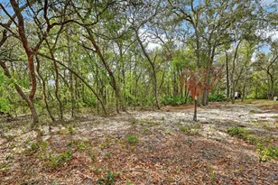 112 Palmer Dr, Interlachen, FL 32148 - Photo 25