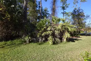 3 Southbury Ct, Palm Coast, FL 32137 - Photo 19