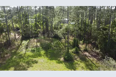 10205 Baylor Avenue, Hastings, FL 32145 - Photo 3