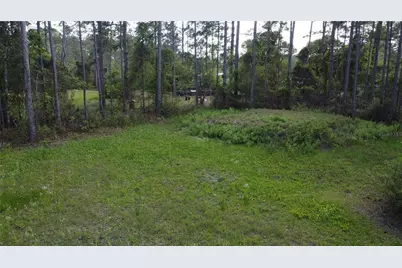 10205 Baylor Avenue, Hastings, FL 32145 - Photo 11