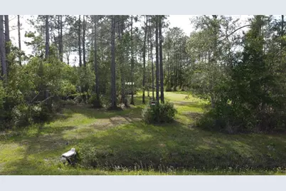 10205 Baylor Avenue, Hastings, FL 32145 - Photo 1