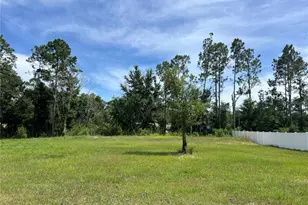 4281 Evergreen Ave, Bunnell, FL 32110 - Photo 27
