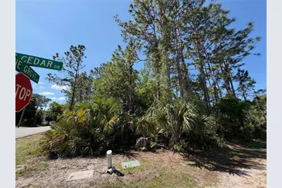 60 Pine Cedar Drive, Palm Coast, FL 32164 - Photo 3