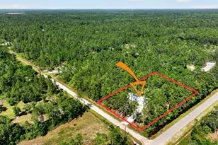 10570 Delgado Ave, Hastings, FL 32145 - Photo 3
