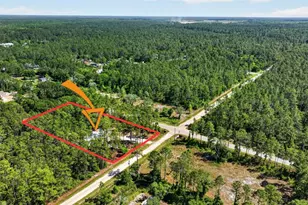 10570 Delgado Ave, Hastings, FL 32145 - Photo 51