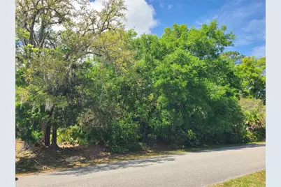 17 Farver Lane, Palm Coast, FL 32137 - Photo 1