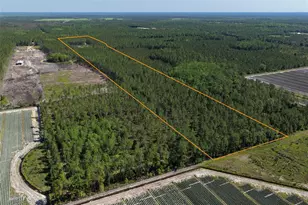 15539 Co Rd 305, Bunnell, FL 32110 - Photo 53
