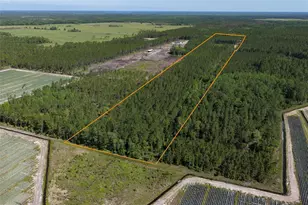 15539 Co Rd 305, Bunnell, FL 32110 - Photo 57
