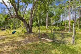 1688 Papaya St, Bunnell, FL 32110 - Photo 43