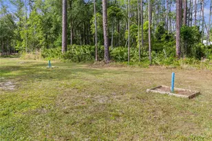 1688 Papaya St, Bunnell, FL 32110 - Photo 39