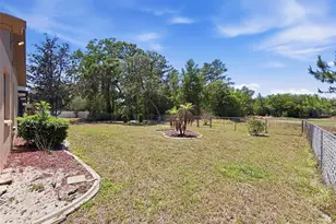 8081 Pagoda Dr, Spring Hill, FL 34606 - Photo 61
