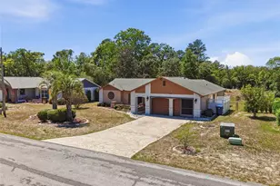 8081 Pagoda Dr, Spring Hill, FL 34606 - Photo 65