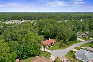30 Erickson Pl, Palm Coast, FL 32164 - Photo 69