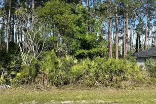 153 Ullian Trail, Palm Coast, FL 32164 - Photo 1