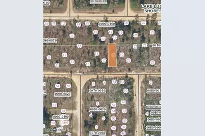 152 1st Avenue, Interlachen, FL 32148 - Photo 3