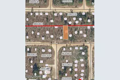 156 1st Avenue, Interlachen, FL 32148 - Photo 3