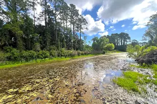 47 Pheasant Dr, Palm Coast, FL 32164 - Photo 65