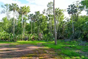 6381 Cherry Ln, Bunnell, FL 32110 - Photo 55