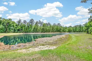 1441 Tintern Ln, Saint Augustine, FL 32080 - Photo 55