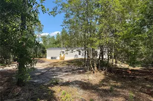 2898 Orange Blossom St, Bunnell, FL 32110 - Photo 3