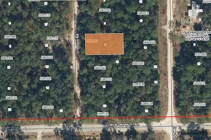 416 Incline Rd, Satsuma, FL 32189 - Photo 1